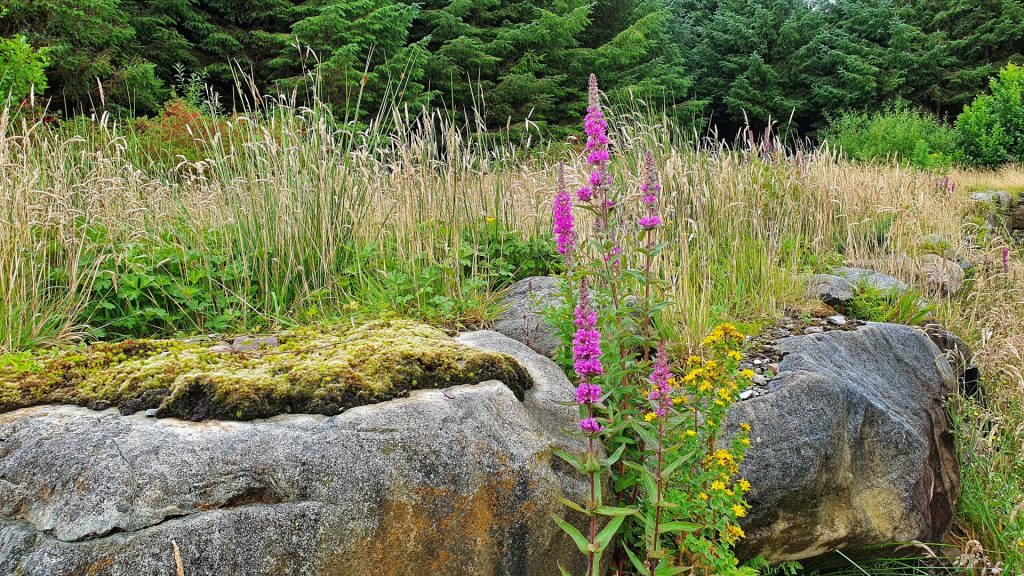 Thoughts on gratitude and living my dream life in Ireland.