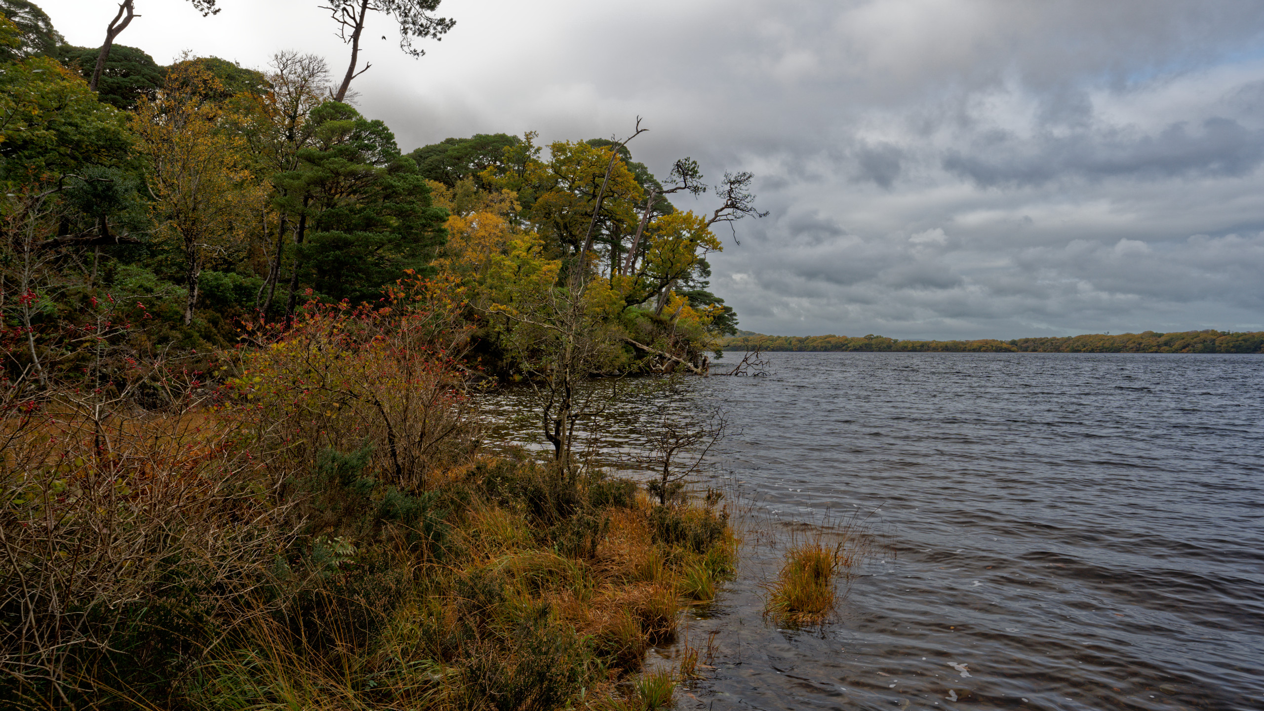 The colors of fall on Muckross Lake