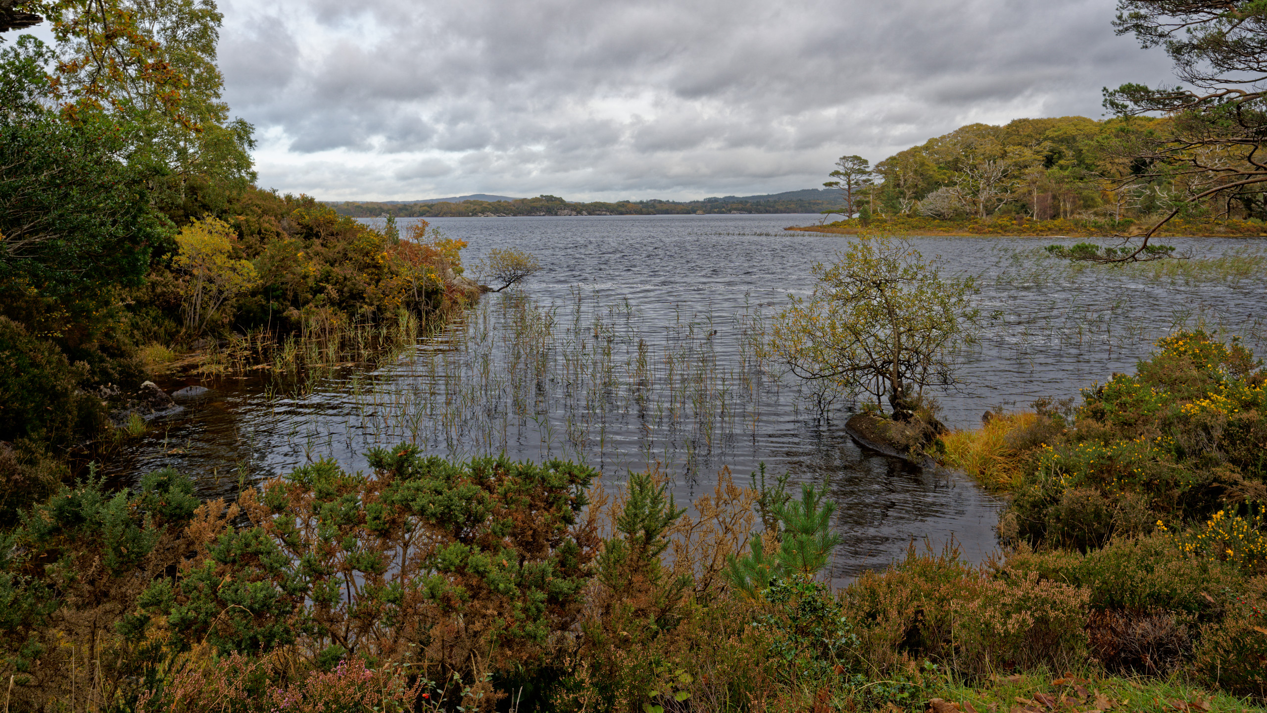 View of Muckross Lake in October