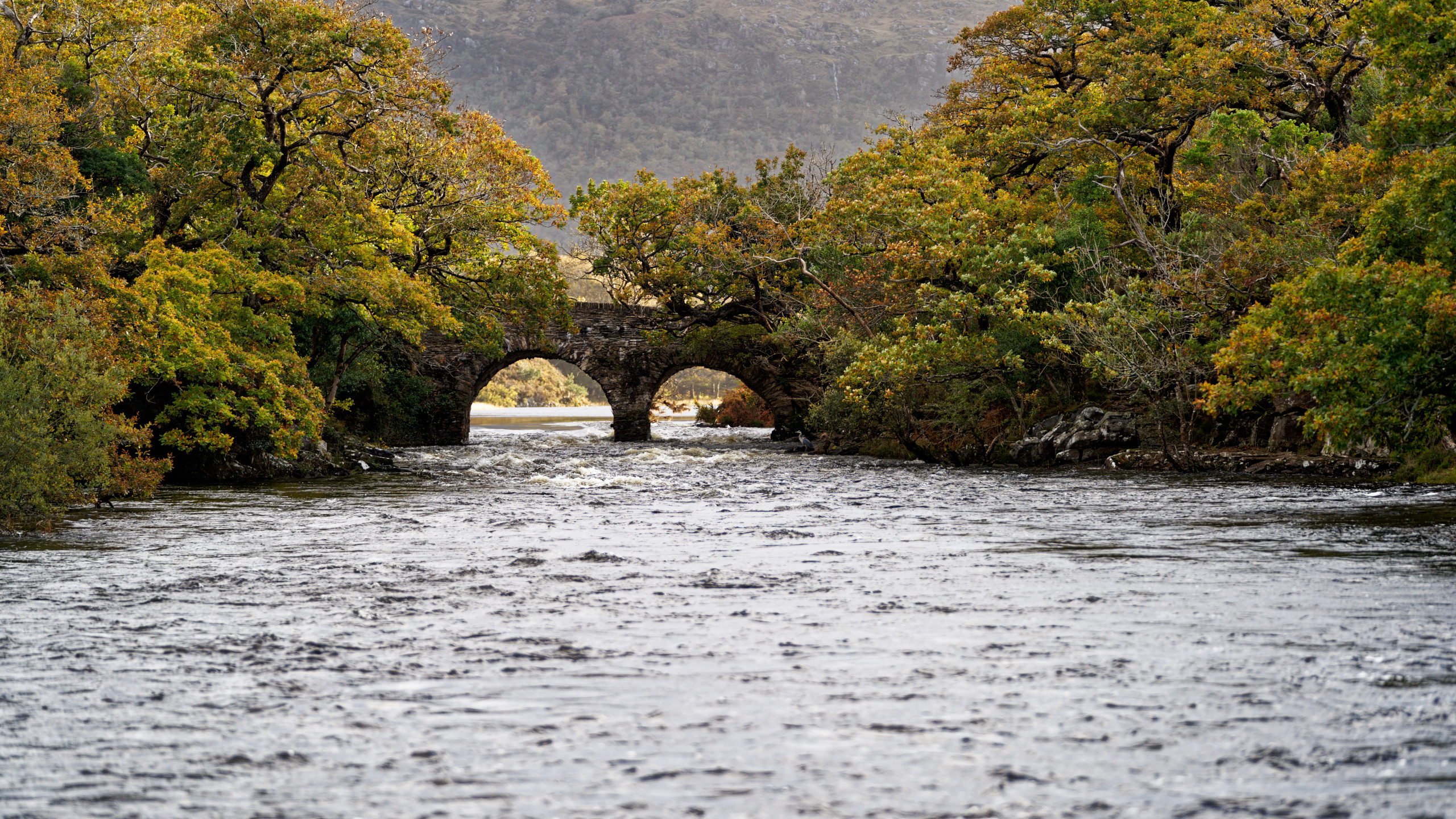 A close-up of the beautiful and ancient Old Weir Bridge 