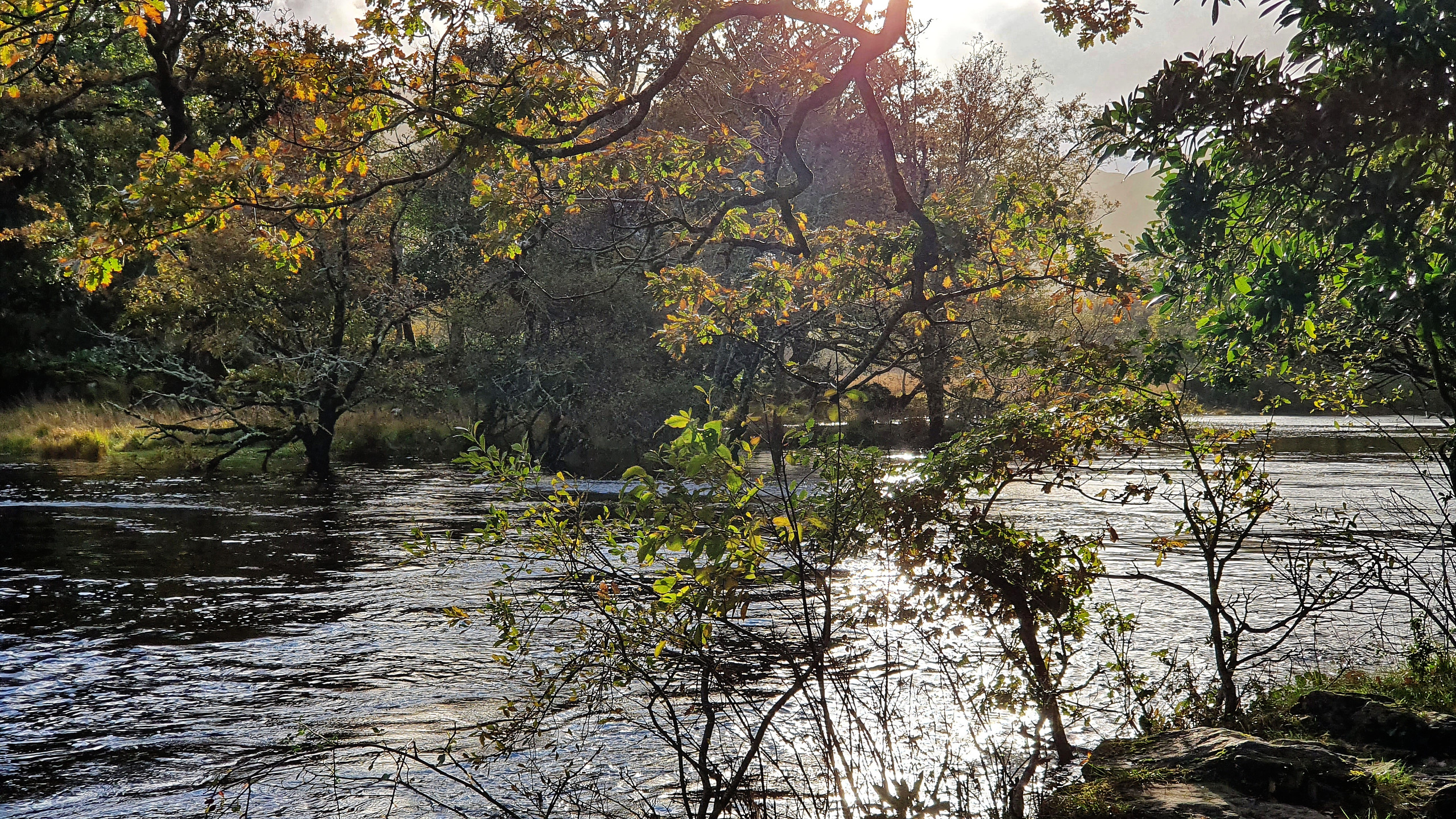 Autumn view through the trees