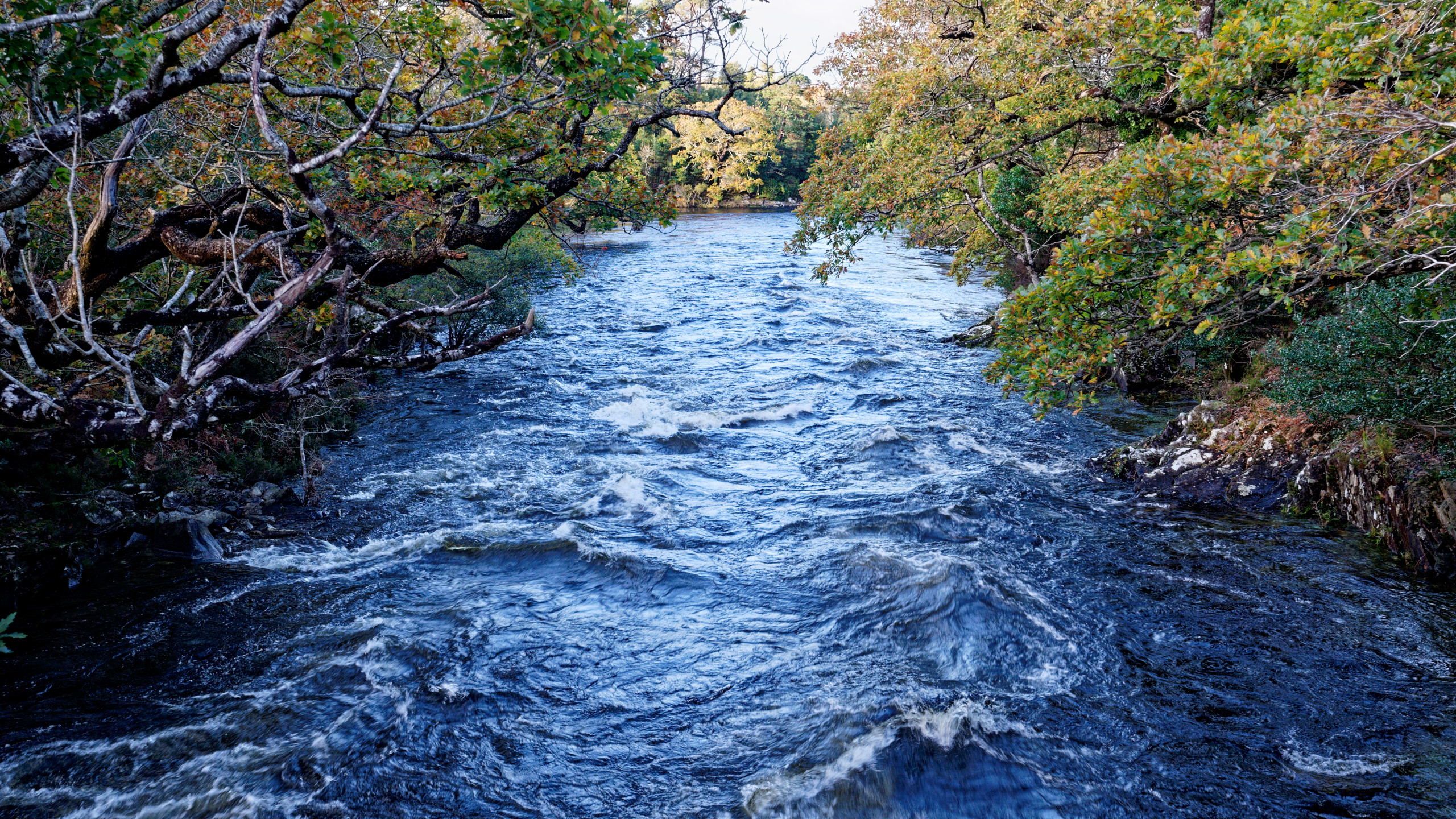 The Meeting of the Waters in Killarney National Park