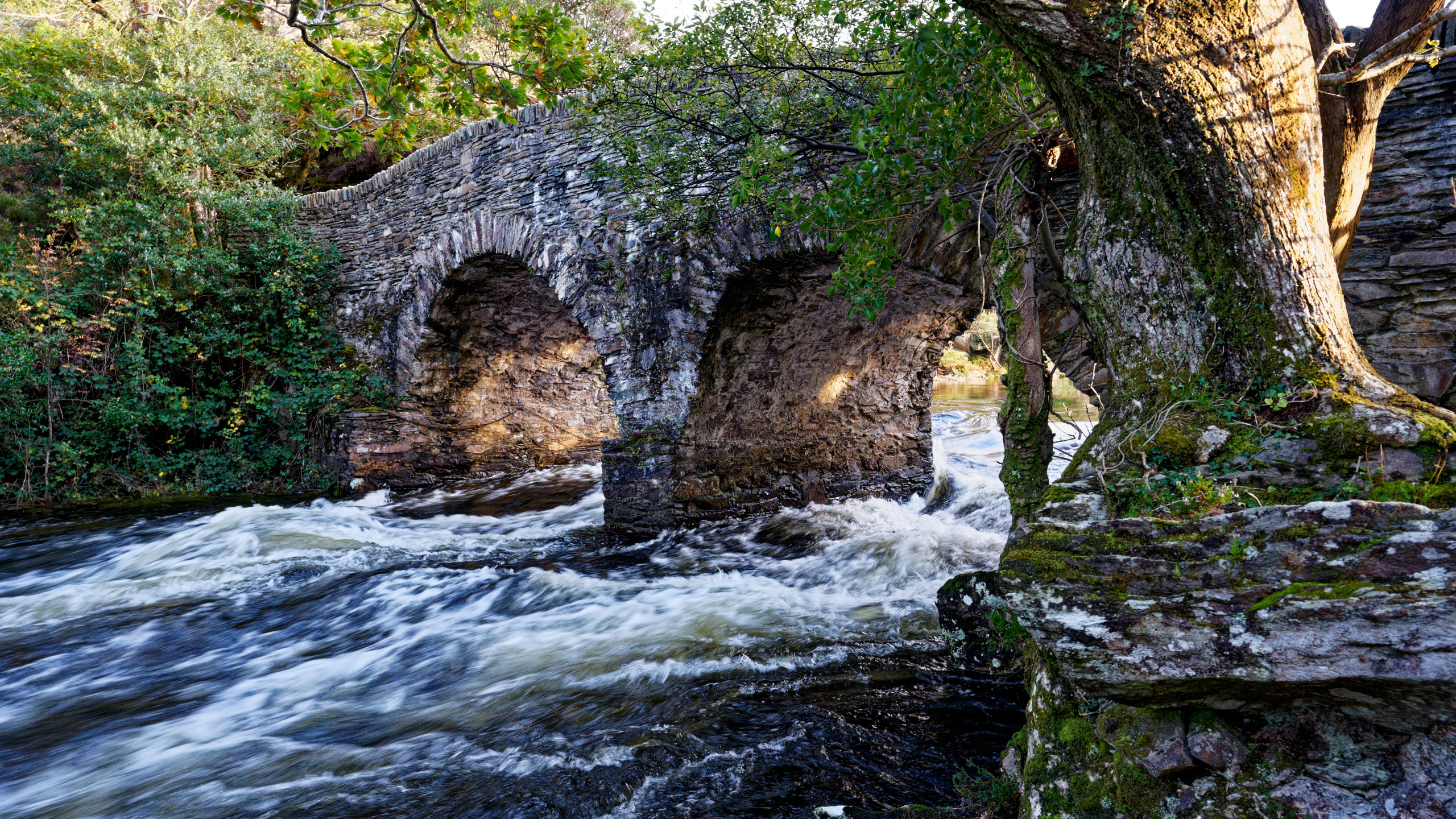 Old Weir Bridge at the Meeting of the Waters in Killarney National Park