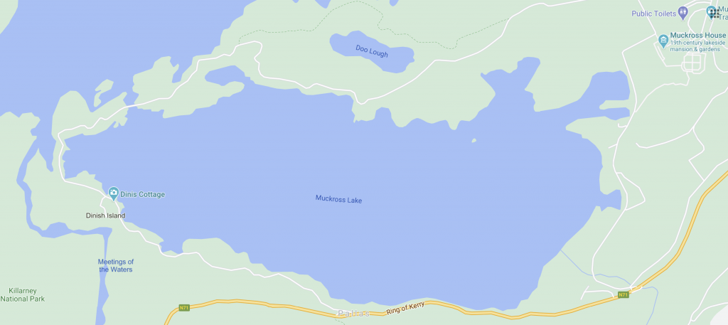 Close-up of Muckross Lake, Killarney National Park, Ireland