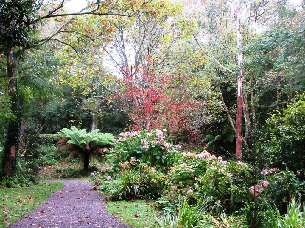 The beautiful grounds around Derrynane House