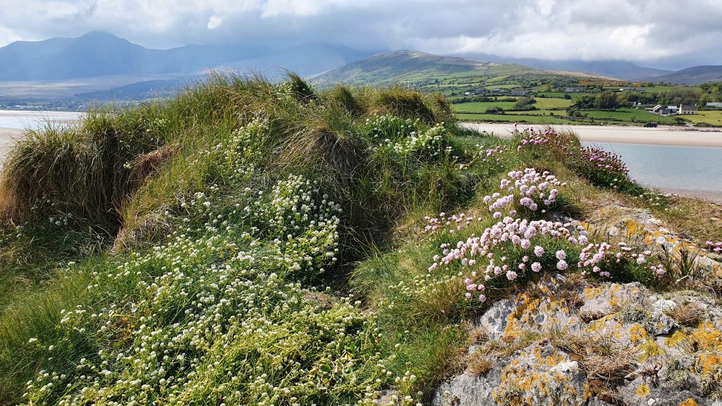One of the best times to visit Ireland is in the spring.