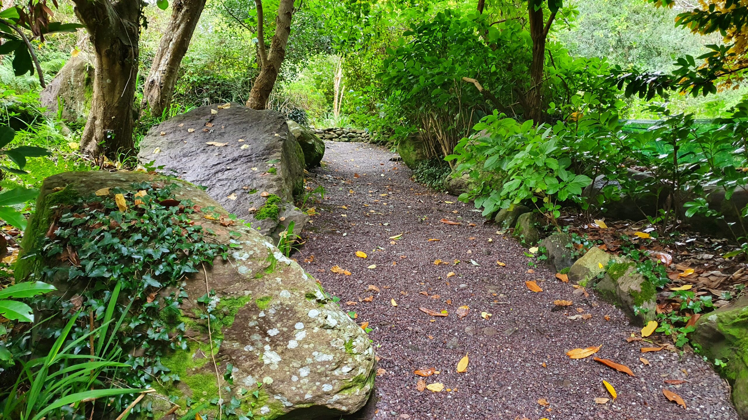A path through Carrig Country House's gardens