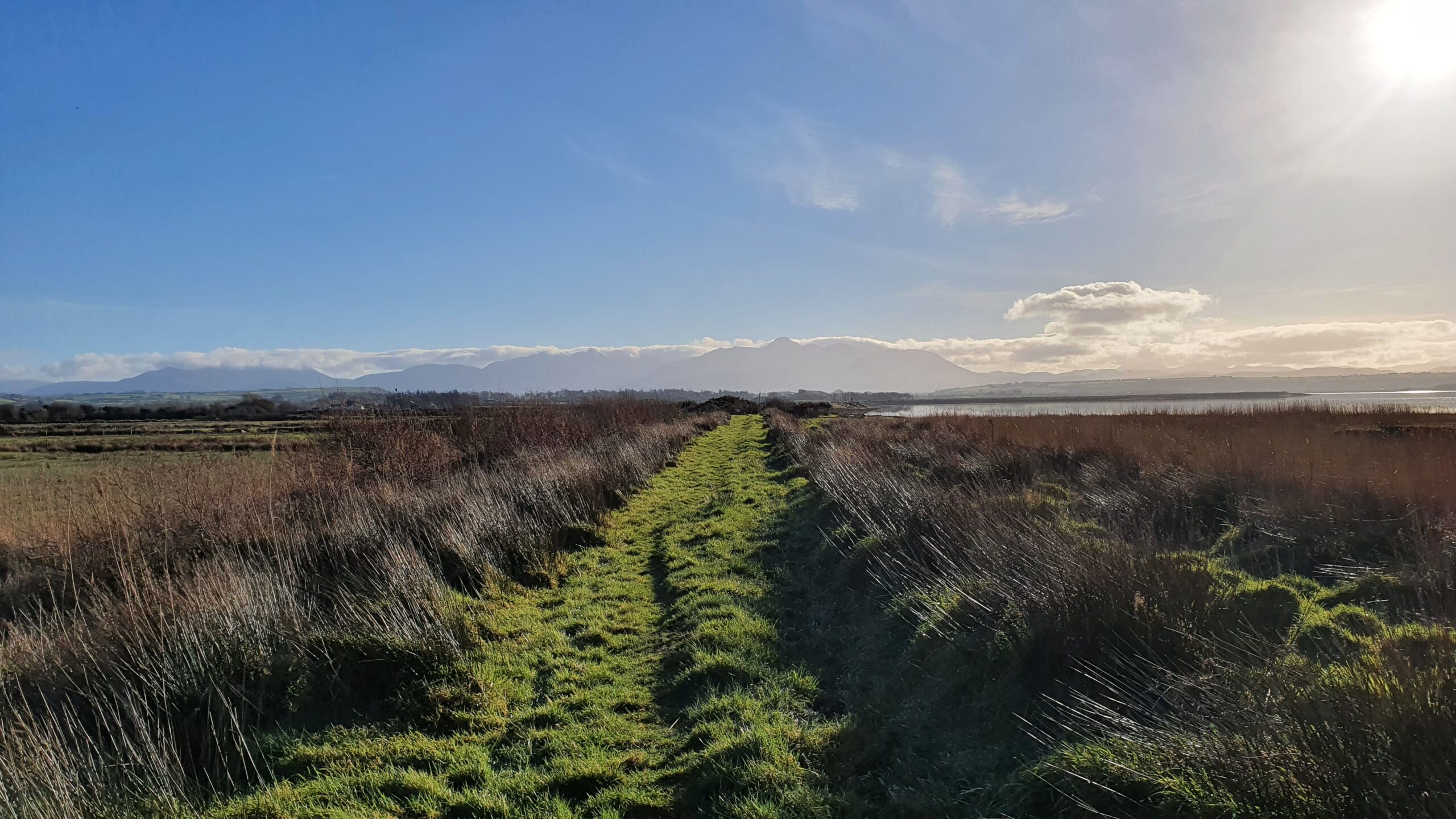 The levee along Castlemaine Harbour and the Maine River