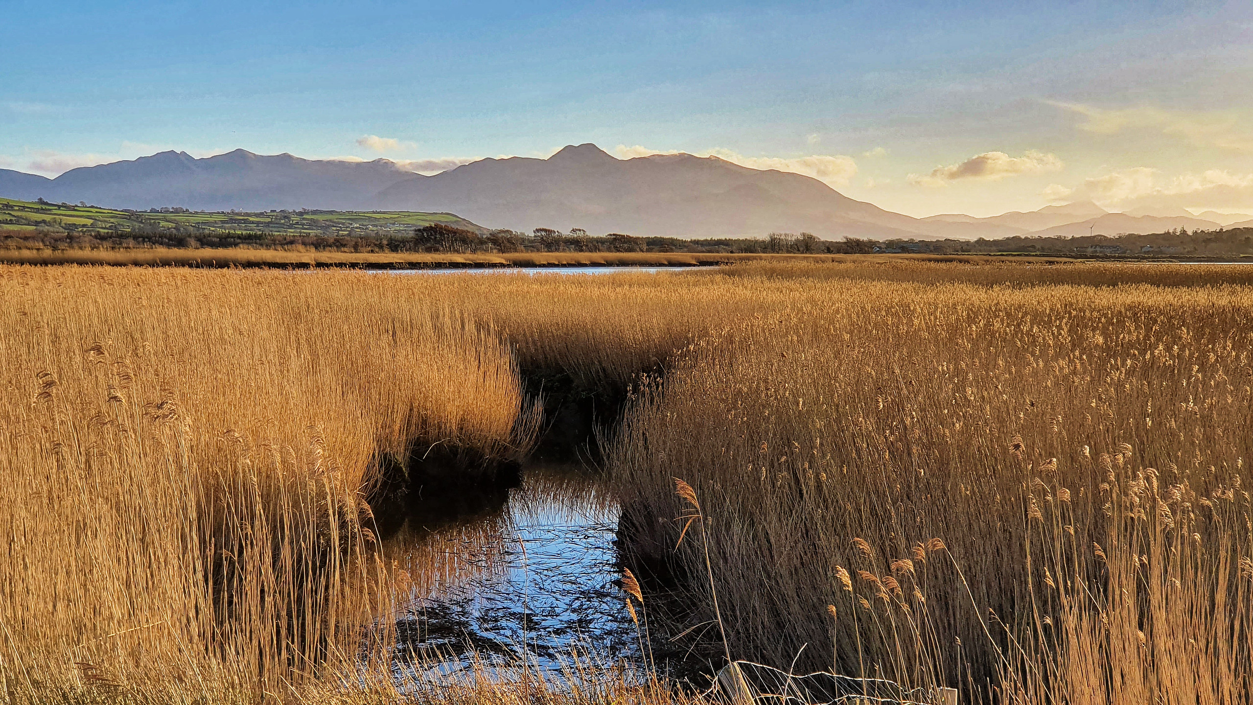View of the MacGillicuddy Reeks dominated by Mount Carrauntoohil--the highest mountain in Ireland
