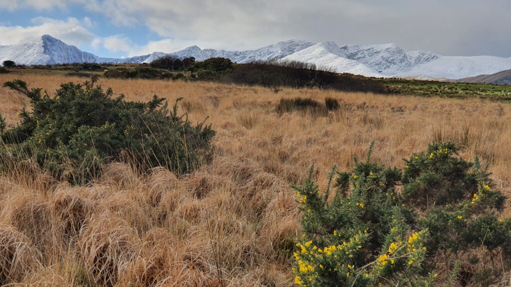 Winters in Ireland are dark, windy and cold. But it seldom snows.