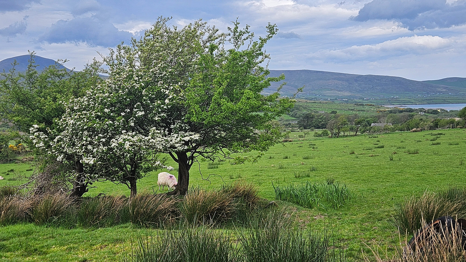 Best time to visit Ireland
