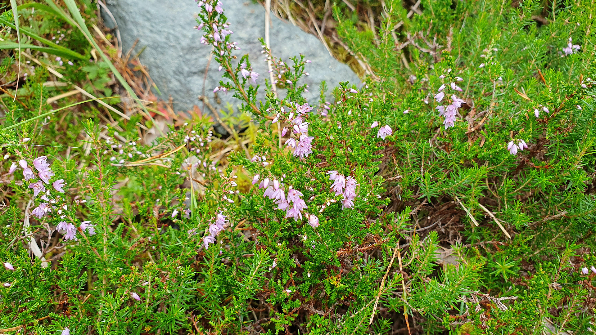 Some good to know details when visiting Ireland