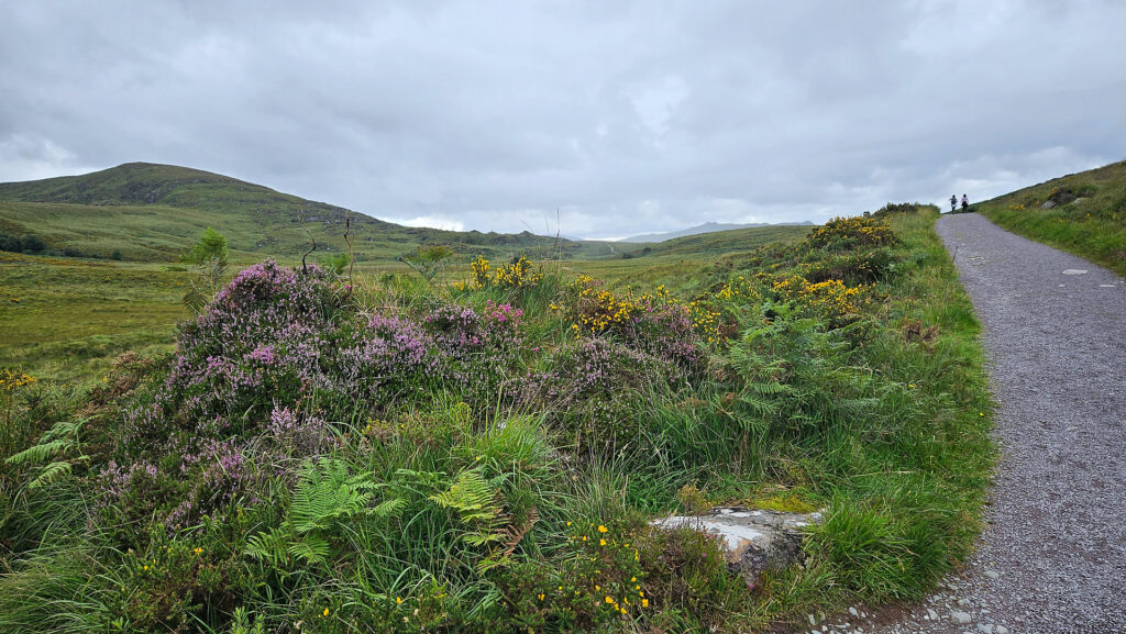 Hiking the Old Kenmare Road in Killarney National Park
