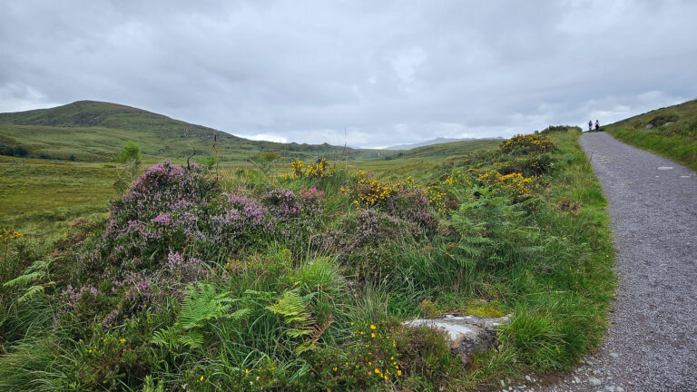 Hiking the Old Kenmare Road in Killarney National Park